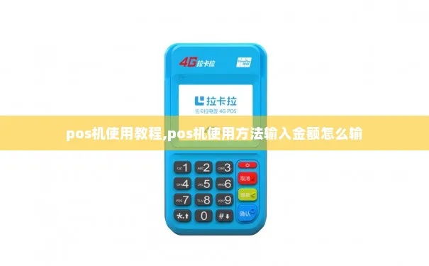 POS机进入主页操作指南，POS机主页设置详解