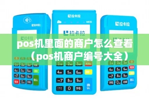 POS机商户编号怎么看（解读POS机商户编号的含义）
