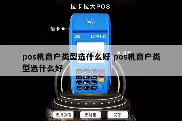 怎么选择pos机商户,精选pos机商户推荐指南
