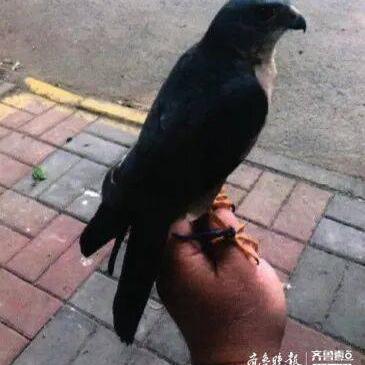 济南POS机办理指南，轻松搞定你的商业收款需求