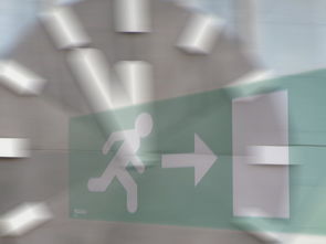 黑客追款24小时在线查询，案例分析与实战技巧