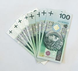 金融取现羊小咩享花卡券—轻松消费，享受优惠