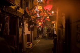 朗廷酒店同住多少人？探秘多元住宿体验