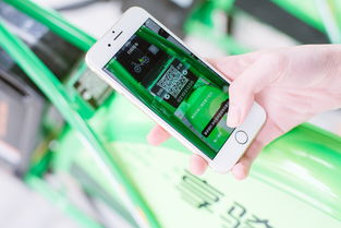 京东白条公众号扫码提现攻略