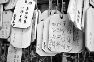 上海白条套出攻略，揭秘金融市场的神秘角落
