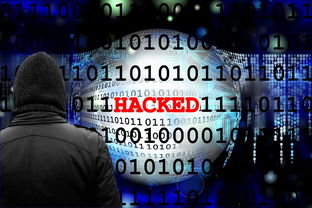 黑客诚信联系方式揭秘，安全通信的保障之路