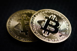纪念币分期乐套推出，金融新潮下的财富盛宴