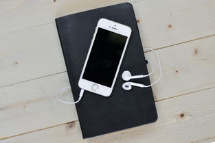 iPhone微信聊天记录同步到电脑，高效便捷的操作指南