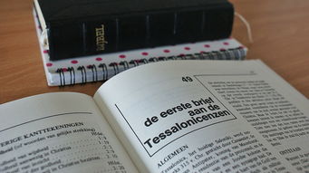 花呗取现手薅毛案例分析