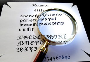官方申请POS机更稳定？手把手教你避坑指南