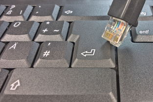 鹤岗办理一清POS机指南
