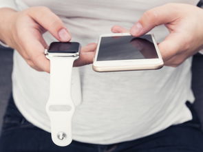 探讨Apple Watch与微信聊天记录同步问题