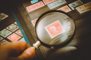 京东白条取现能否全取？一探究竟