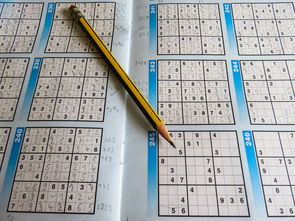 金昌市POS机申请全攻略，电话号码、流程、注意事项及常见问题