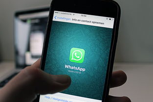 探讨App同步功能，微信聊天能否同步至App？