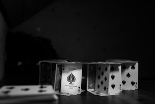 金葵花卡与POS机办理的关联性分析