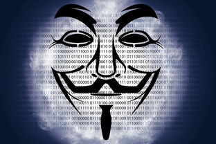 黑客追款服务，揭秘网络诈骗者的克星