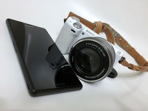 内蒙拉卡拉智能POS机办理公司全解析